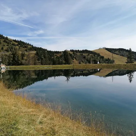 Hotel Naturhotel Huettenwirt In Middle Of Nature 4*