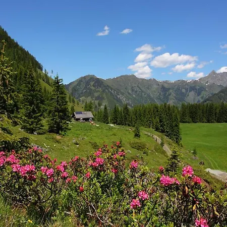Naturhotel Huettenwirt In Middle Of Nature 4*
