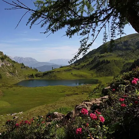 Naturhotel Huettenwirt Im Grossarltal