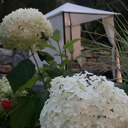 Naturhotel Huettenwirt Im Grossarltal 4* Huttschlag