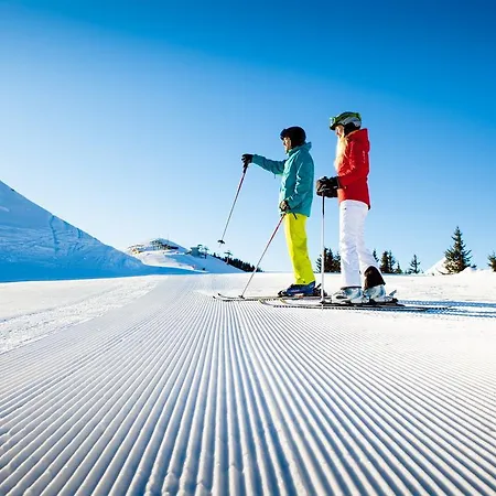 Naturhotel Huettenwirt Im Grossarltal Hüttschlag