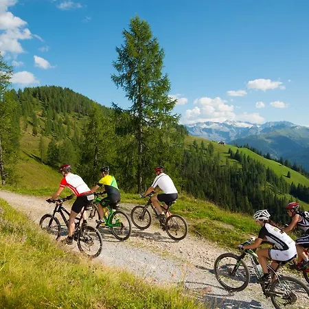 Hotel Naturhotel Huettenwirt Im Grossarltal