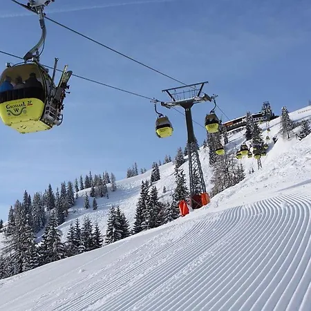 Hotel Naturhotel Huettenwirt Im Grossarltal Hüttschlag
