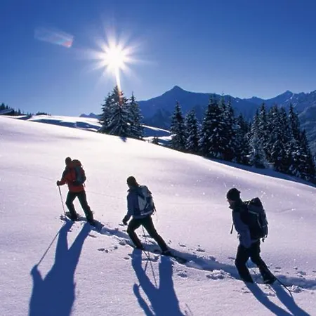 Naturhotel Huettenwirt Im Grossarltal Hotel